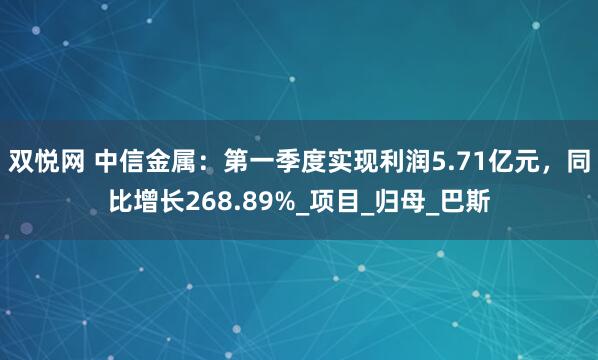 双悦网 中信金属：第一季度实现利润5.71亿元，同比增长268.89%_项目_归母_巴斯
