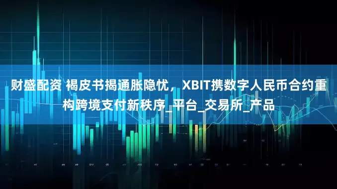 财盛配资 褐皮书揭通胀隐忧，XBIT携数字人民币合约重构跨境支付新秩序_平台_交易所_产品