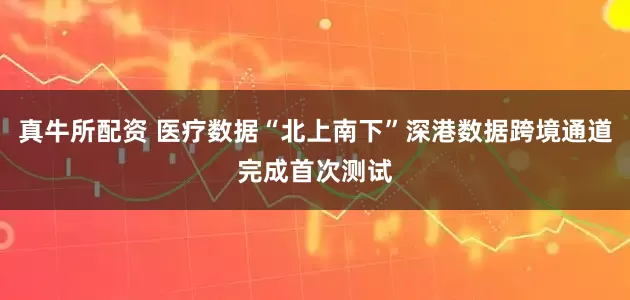 真牛所配资 医疗数据“北上南下”深港数据跨境通道完成首次测试