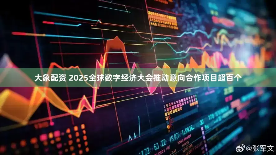大象配资 2025全球数字经济大会推动意向合作项目超百个