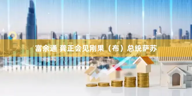 富余通 龚正会见刚果（布）总统萨苏