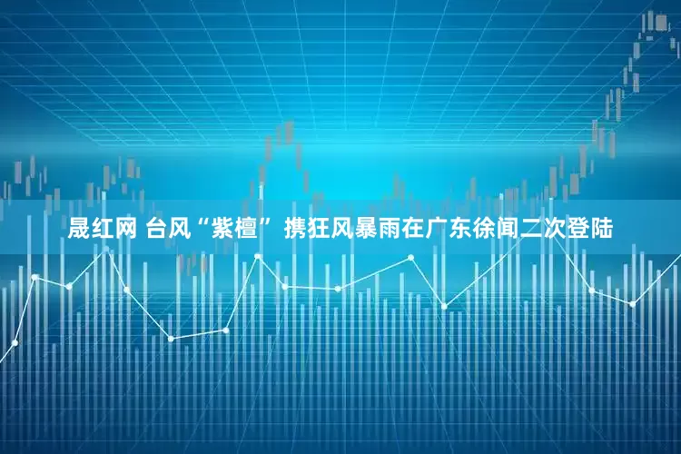 晟红网 台风“紫檀” 携狂风暴雨在广东徐闻二次登陆